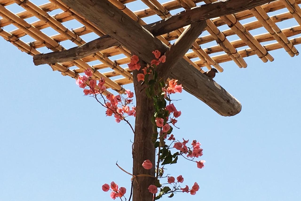 Riad Of The Storks - Exclusive Use For Up To 17 Persons Marrakesh Exteriör bild