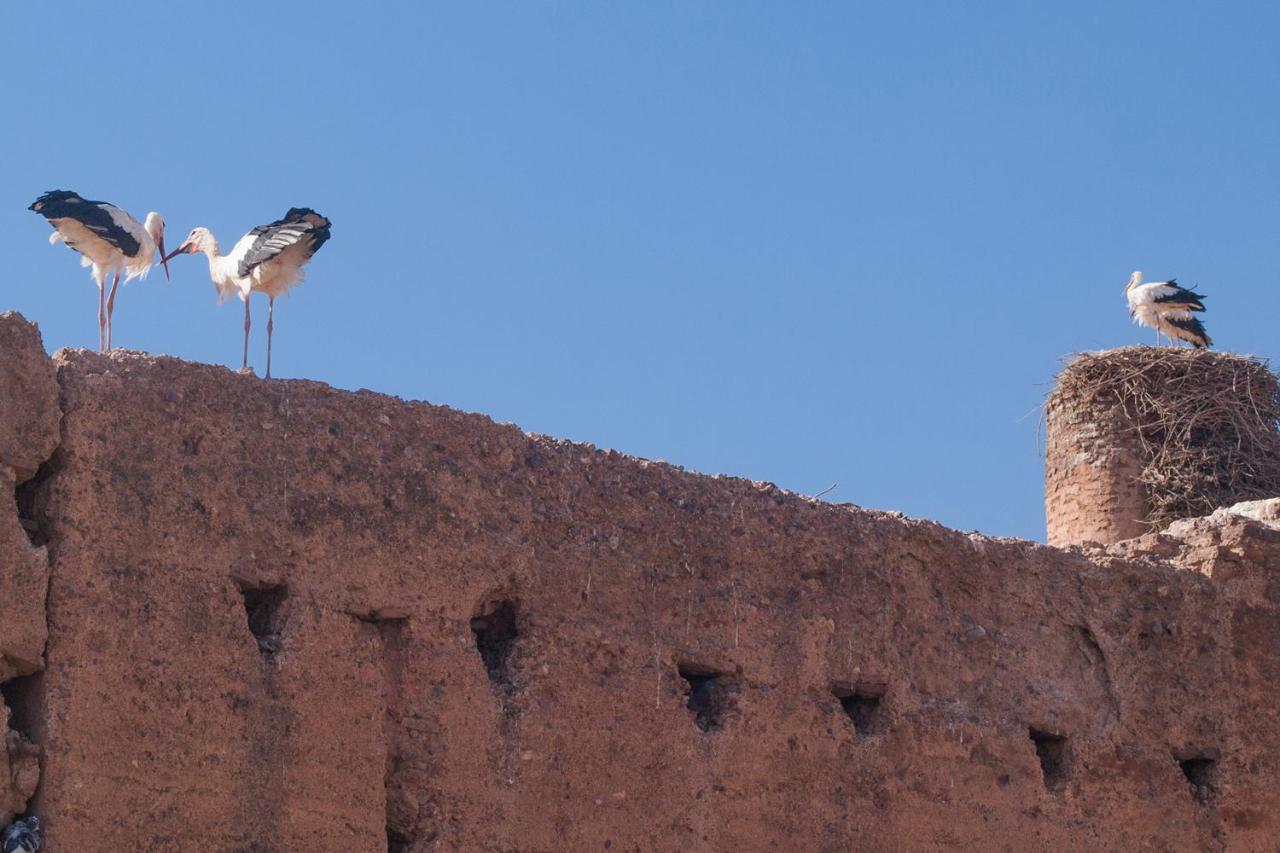 Riad Of The Storks - Exclusive Use For Up To 17 Persons Marrakesh Exteriör bild